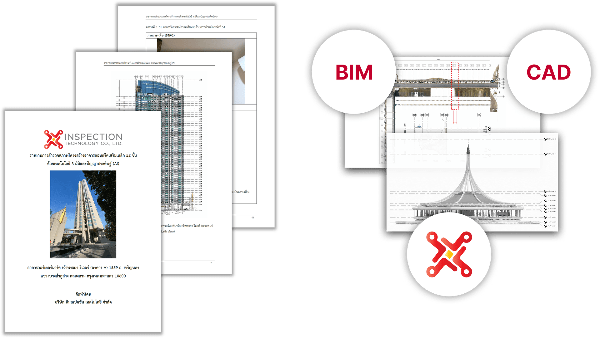 InSpectra AI Feature